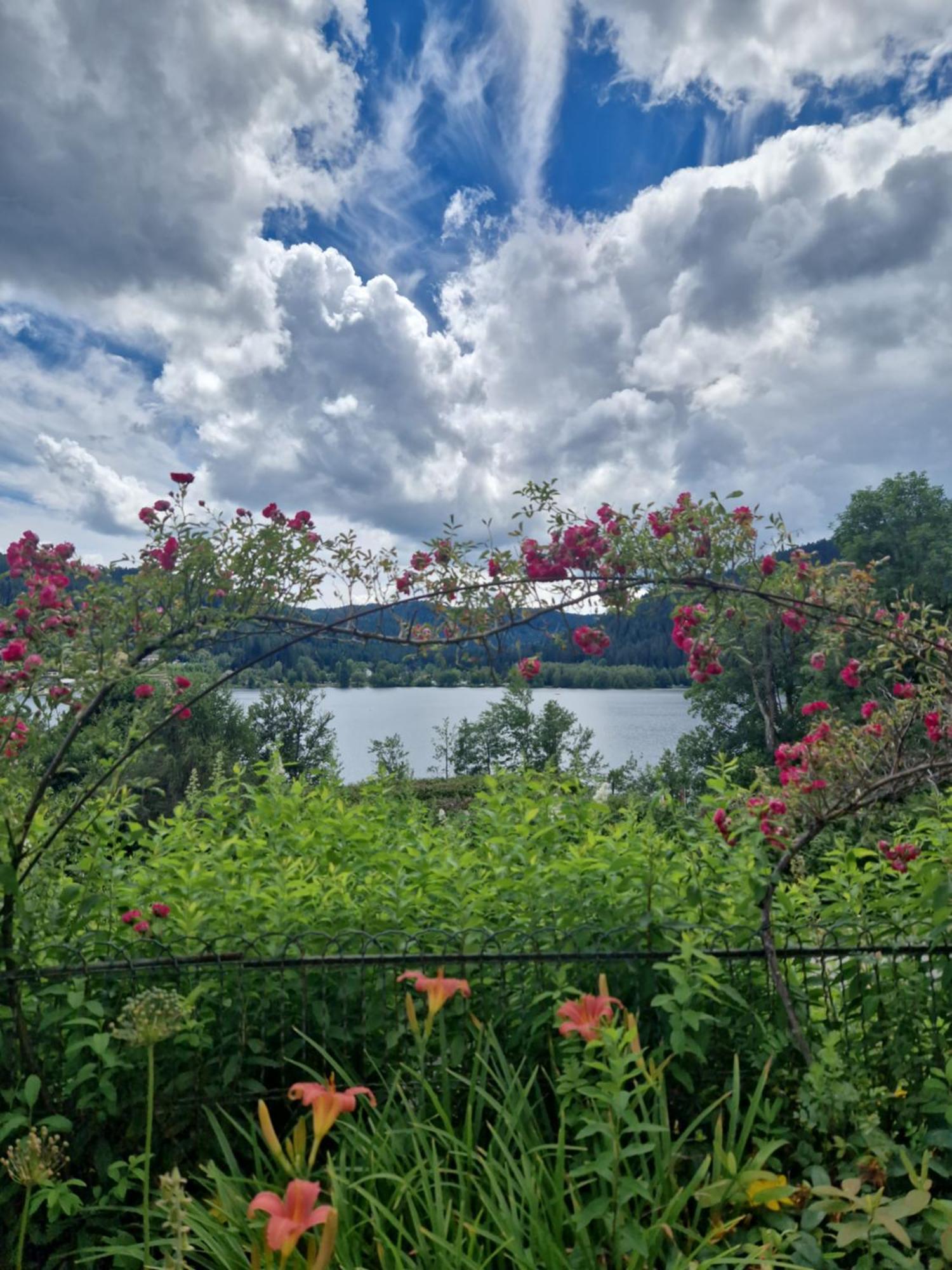 Le Manoir Au Lac Gérardmer Exteriör bild