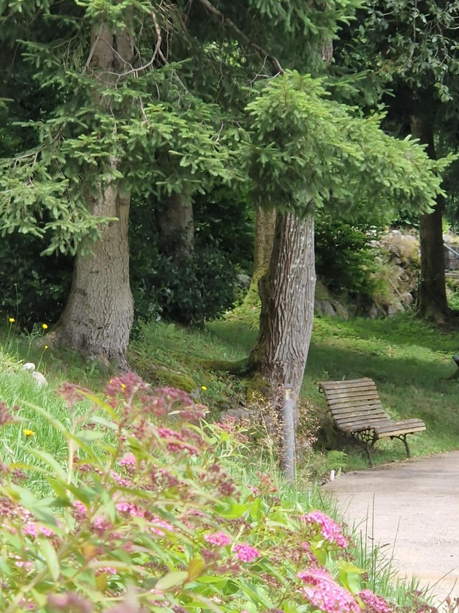 Le Manoir Au Lac Gérardmer Exteriör bild